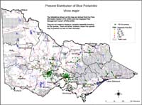 Map:  Present distribution Blue Periwinkle