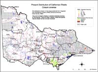Map:  Present distribution Californian Thistle