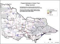 Map:  Present distribution Camelthorn