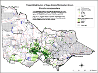 Map:  Present distribution Cape Broom