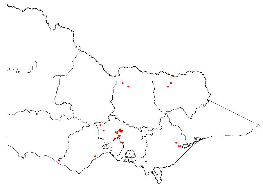 map showing the present distribution of carex divulsa