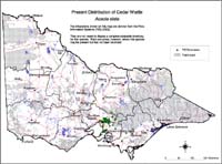 Map:  Present distribution Cedar Wattle