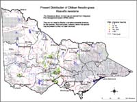 Map:  Present distribution Chilean Needlegrass