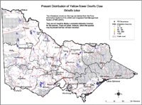 Map:  Present distribution Devil's Claw Yellowflower