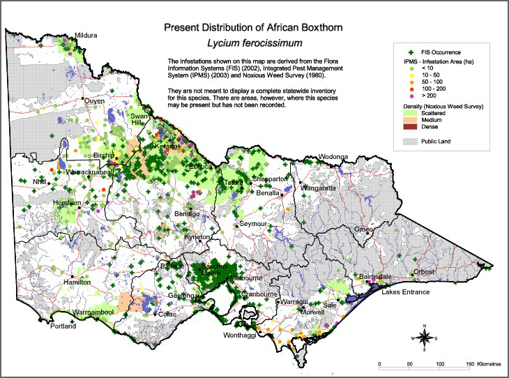 Map:  Present distribution - African Boxthorn