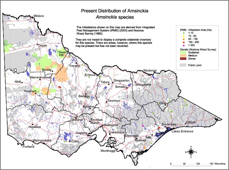 Map:  Present distribution - Amsinckia