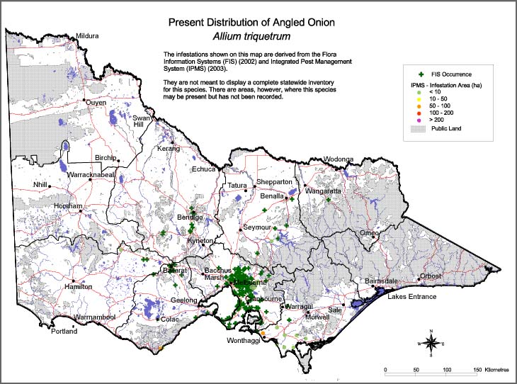 Map:  Present distribution - Angled Onion
