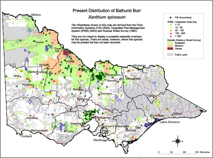 Map:  Present distribution - Bathurst Burr
