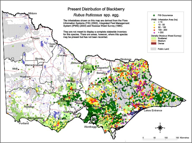 Map:  Present distribution - Blackberry - Rubus fruticosus