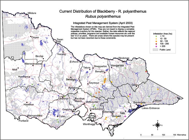 Map:  Present distribution - Blackberry - Rubus polyanthemus