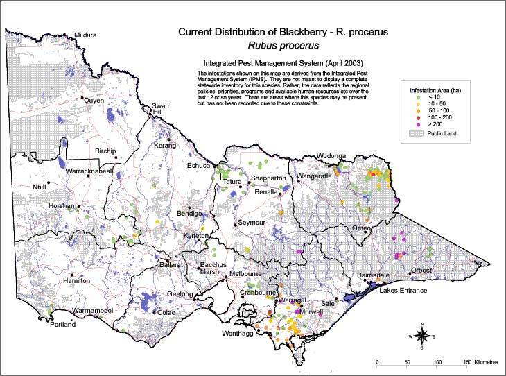 Map:  Present distribution - Blackberry - Rubus procerus