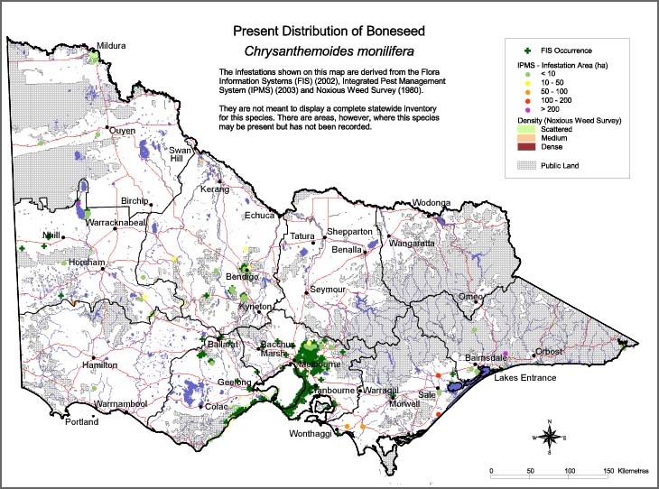 Map:  Present distribution - Boneseed