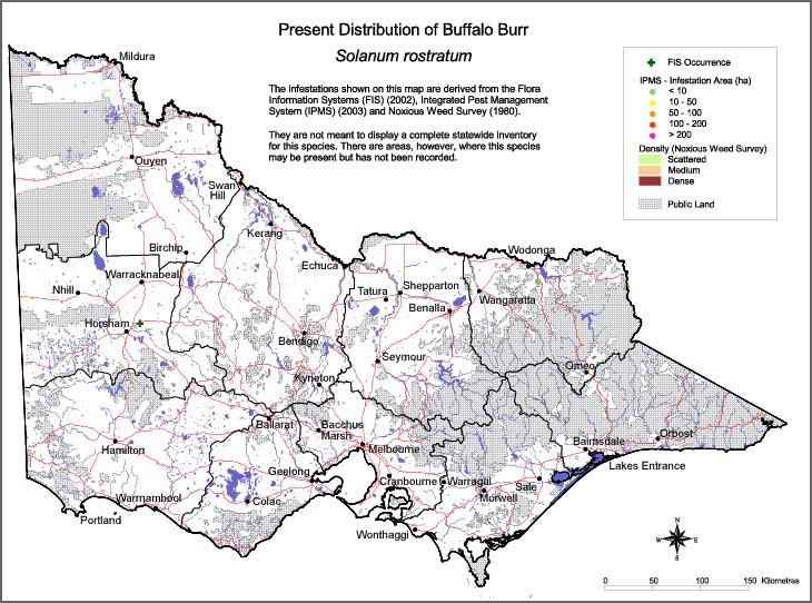 Map:  Present distribution - Buffalo Burr
