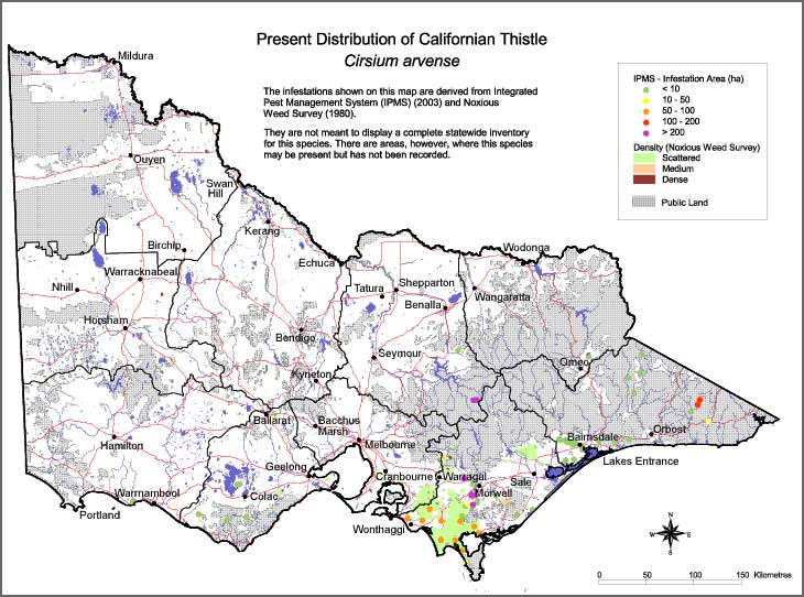 Map:  Present distribution - Californian Thistle