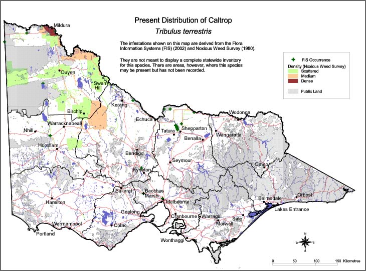 Map:  Present distribution - Caltrop