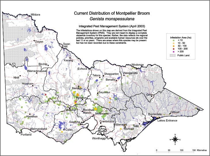 Map:  Present distribution - Cape Broom