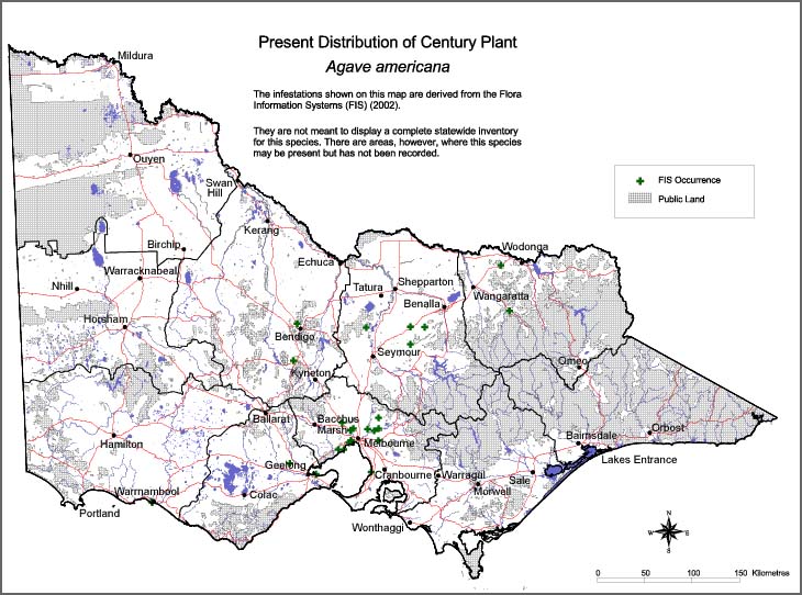 Map:  Present distribution - Century Plant