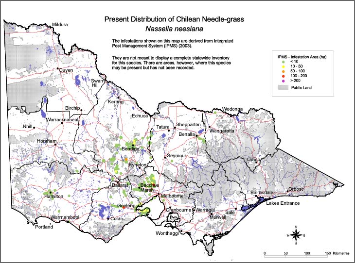 Map:  Present distribution - Chilean Needlegrass