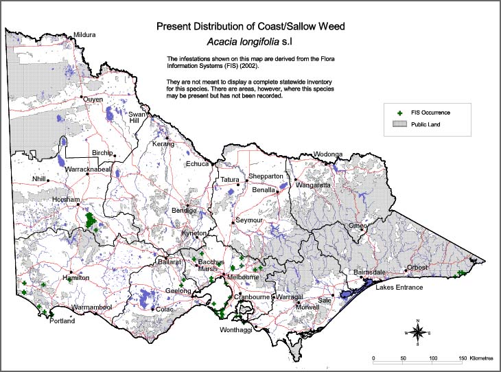 Map:  Present distribution - Coast Sallow Weed