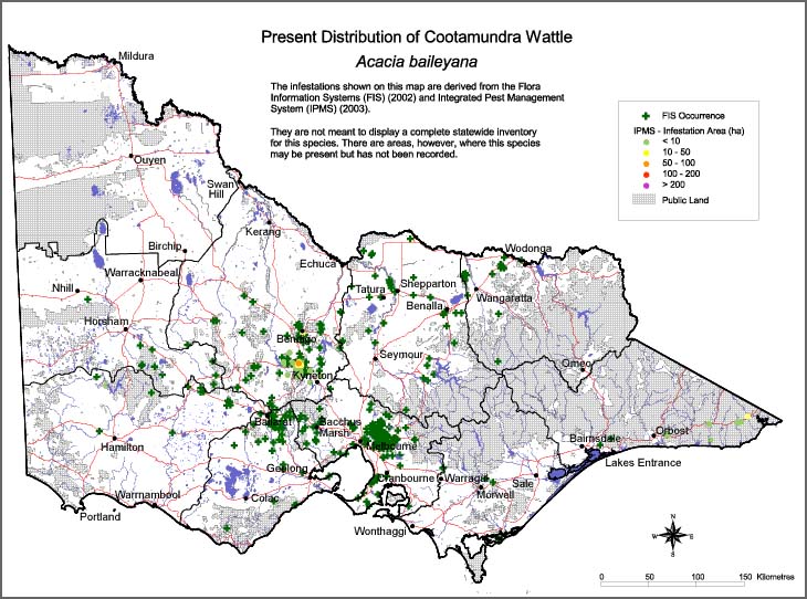 Map:  Present distribution - Cootamundra Wattle
