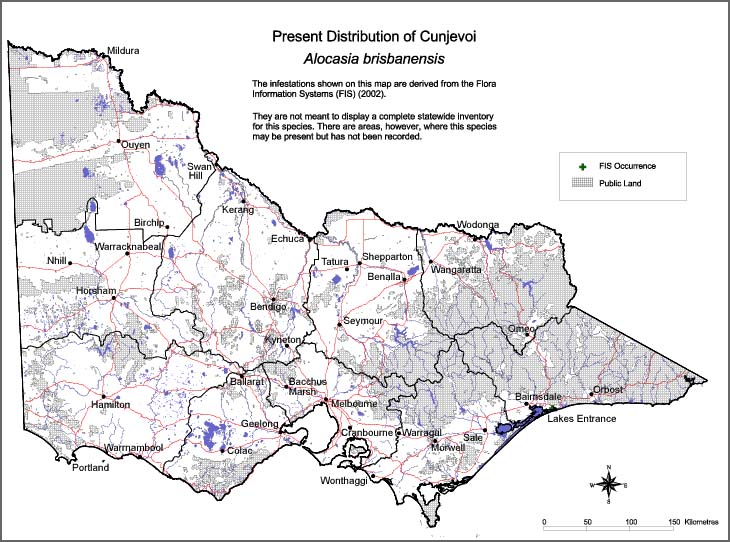 Map:  Present distribution - Cunjevoi