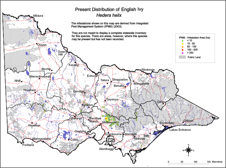 Present distribution of English Ivy in Victoria