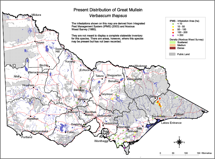 Map:  Present distribution - Great Mullein