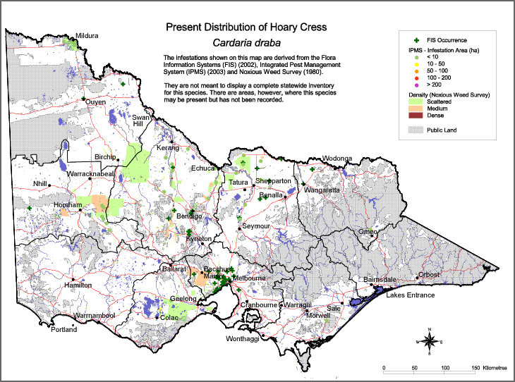 Map:  Present distribution - Hoary Cress