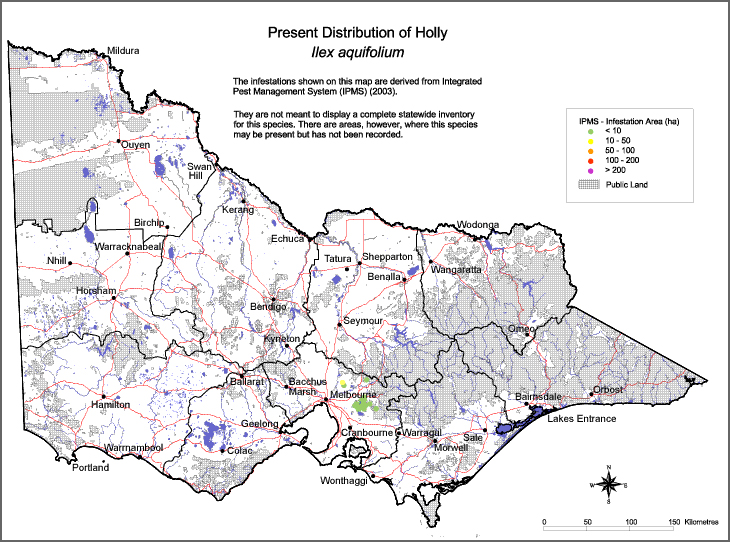 Map:  Present distribution - Holly