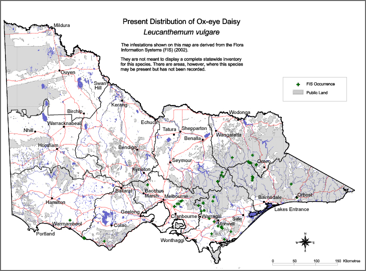 Map:  Present distribution - Ox-eye Daisy