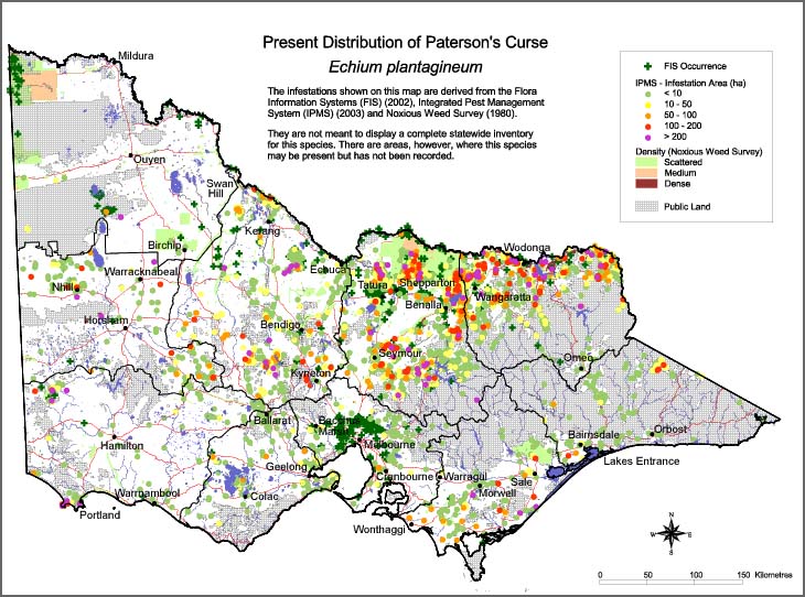 Map:  Present distribution - Paterson's curse