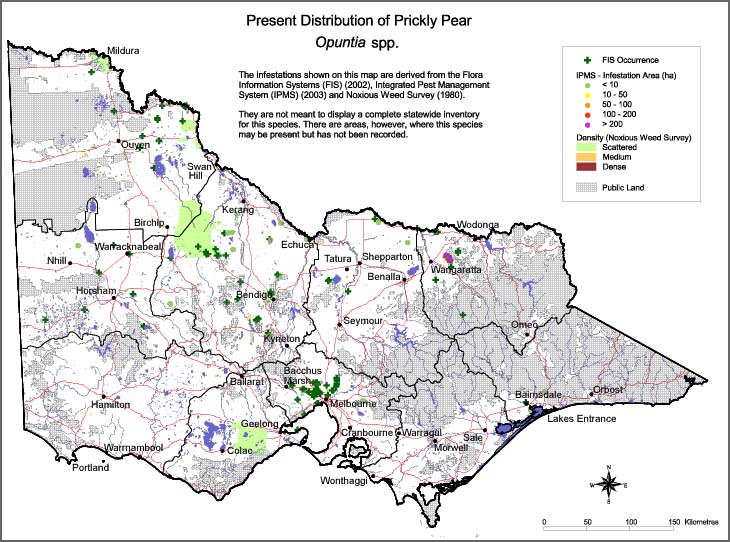 Map:  Present distribution - Prickly Pears