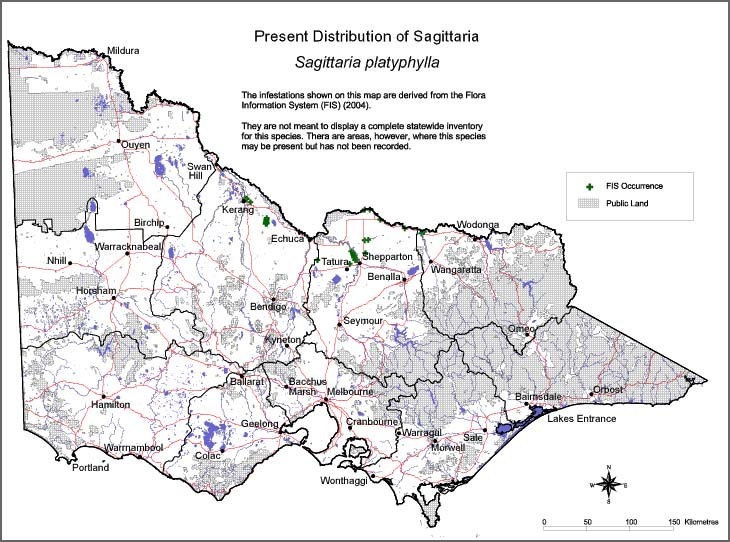 Map:  Present distribution - Sagittaria platyphylla