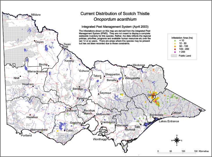 Map:  Present distribution - Scotch Thistle