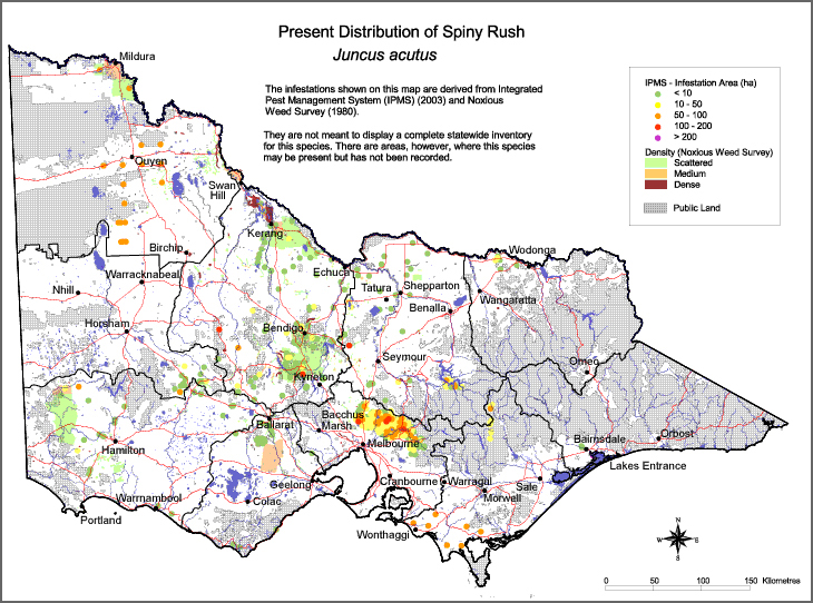 Map:  Present distribution - Spiny Rush