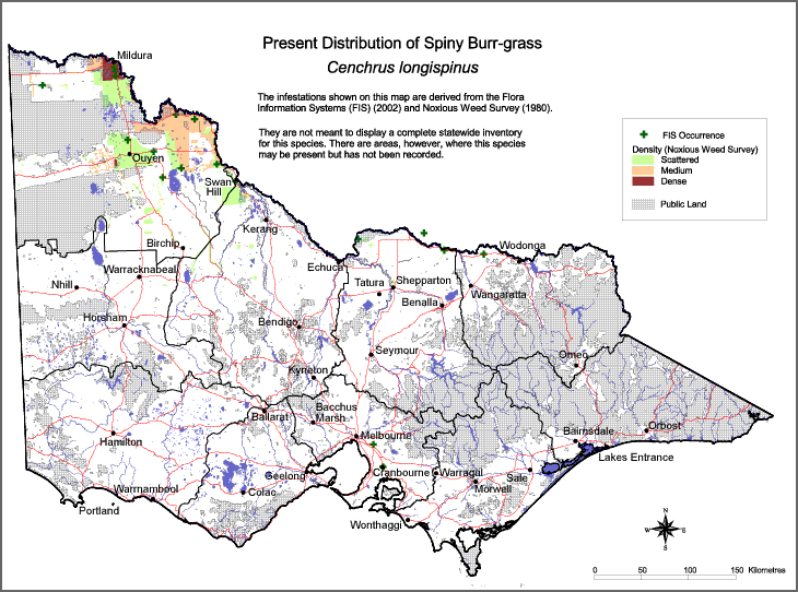 Map:  Present distribution - Spiny Burr Grass