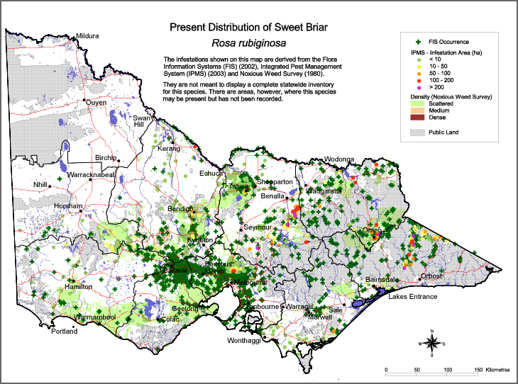 Map:  Present distribution - Sweet Briar