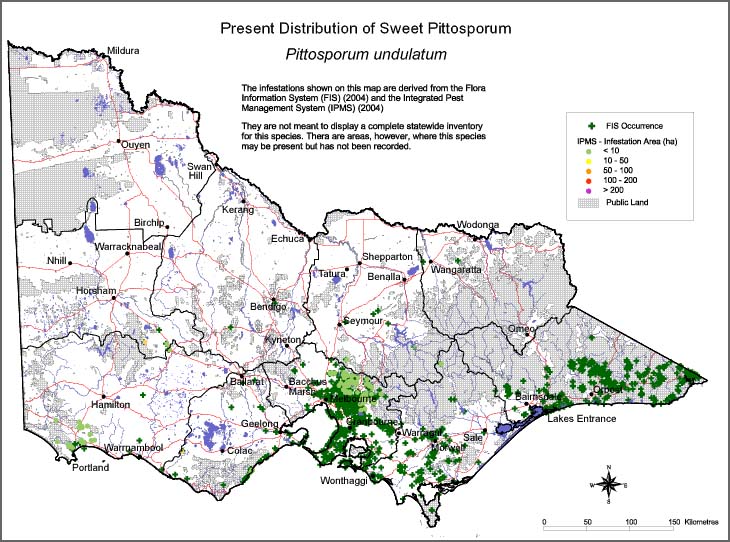 Map:  Present distribution - Sweet Pittosporum