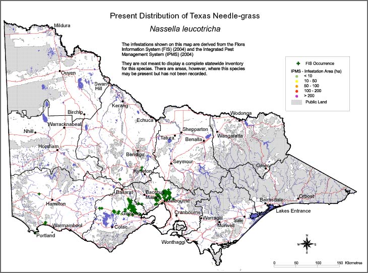 Map:  Present distribution - Texas Needlegrass
