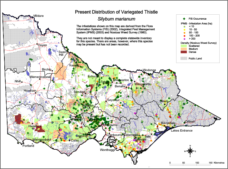 Map:  Present distribution - Variegated Thistle