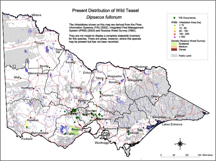 Map:  Present distribution - Wild Teasel