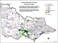 Map:  Present distribution Fennel