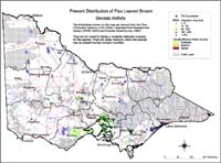 Map:  Present distribution Flax Leaved Broom