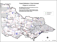 Map:  Present distribution Giant Knotweed