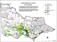 Map:  Present distribution Gorse