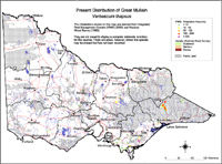 Map:  Present Distribution Great Mullein