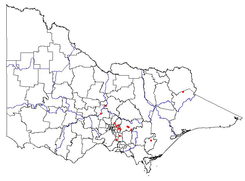 map showing the present distribution of the grey cottoneaster