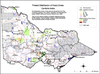 Map:  Present distribution Hoary Cress