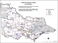 Map:  Present distribution Holly