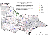Map:  Present distribution Ivy Leafed Sida